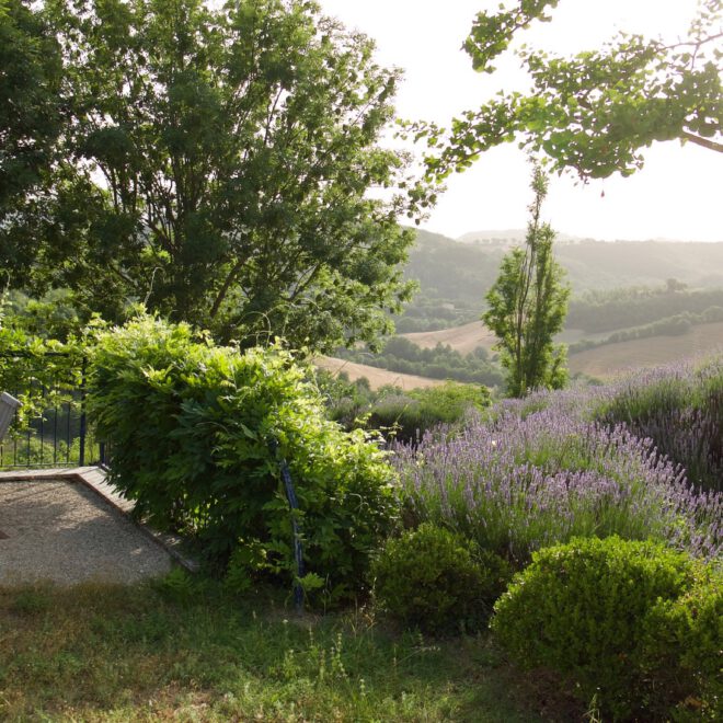 Ausblick Terrasse